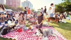 達人教戰3步驟，輕鬆享受戶外野餐趣