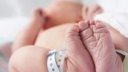新生兒必買「癌症險」原因...以為寶貝身體健康，但腫瘤長到一定大小才會被發現！