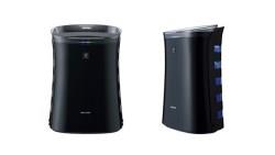 郭董背書！夏普「蚊取空清」賣翻、大增產；將進軍台灣