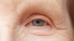 高年級實習生真實版》巧克力店的老奶奶讓我知道，職場上，老人的最大優勢反而是「人情味」