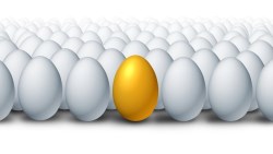 川普、希拉蕊都動搖不了的好公司：這5檔只要一個月跌超過10%，就是好買點