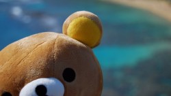 拉拉熊敲可愛！拿出來秀一下也開心，15張卡通主題的信用卡大集合