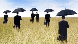 想知道你的保險公司，未來會不會有財務危機？一分鐘幫你查到