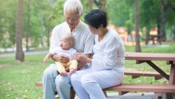 年金改革下最悲慘世代！政府做再多也只是延後破產，40歲以下恐一毛都領不到