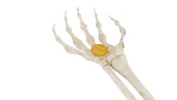 低基期股票真的好嗎？掀「低基期等於低成長」真相