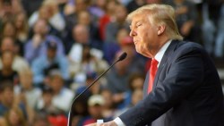 上任滿月，失業率降到4.7%》川普：那些白天工作流汗的人，晚上回家就不該為生活煩惱