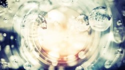 300年前荷蘭人用一棟房換一株鬱金香！人類史上四大經濟泡沫