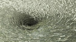 德州風災過後》「這兩類股」大跌要敢買，當年卡崔娜颶風讓它大漲30%