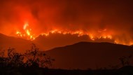 加州大火燒毀面積比紐約還大，死亡人數升至40人！還沒撲滅， 經濟損失上看3兆台幣