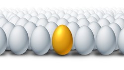 特斯拉沒它一切免談》今年股價強漲200%，認識電動車最核心產業：電池廠康普