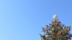 好市多股票買1個月，輕鬆賺10%》黑購節行情過了，3檔「耶誕概念股」別再錯過
