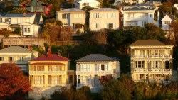 台灣人先別羨慕...紐西蘭政府不准外國人買房，想杜絕高房價，卻被專家打臉