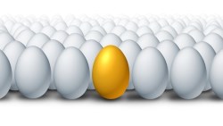 0050危險了，台股兩支隱藏版優質ETF，一張2萬，配息5%，你一定買得起