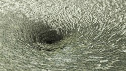 美元貶三個月低！NIIP太糟、今年將持續趴地不起？