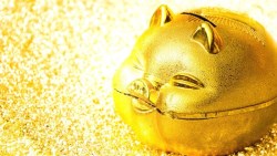 股價20多，一年報酬率20%，這兩支ETF各買一張，就能擁有台灣、美國大公司股票