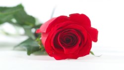 婚後在家相夫教子，老公竟外遇...班花嫁給憨厚男的啟示：千萬別讓「房子」成為離婚阻礙