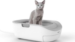 夏普推貓廁所、揮軍寵物市場！活用IoT、拚百億營收