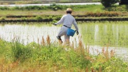 2階段定存股策略　靠9檔股票年領300萬股利