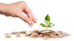 只買一檔股，30年滾出千萬身價！上班族的致富關鍵：領到股利後做了這件事