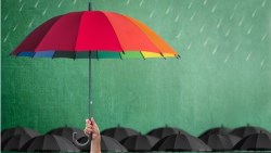 台灣可能撼動美公司債市場？外資：壽險業投資佔比高