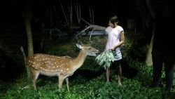   創意顛覆休閒農場新玩法