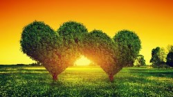 高利儲蓄險式微 中高資產族群可選高倍數保障保單 規劃資產傳承