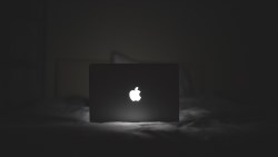 全力衝刺服務部門 蘋果在上海啟動新計畫 協助開發應用軟體