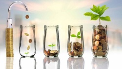 小資族靠存零股　養出金雞母