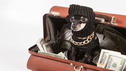 愈是高收入愈是存不了錢？現在開始做4件事，付錢給未來的自己！