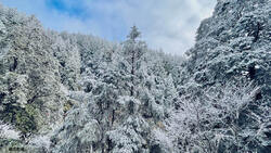 印度冰川崩裂、美德州暴雪…全球氣候異常頻傳，相關基金成黑馬，近1年報酬最高逾200%！