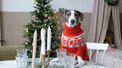 過年居家開運10個撇步大公開，學起來，新的一年讓你好運旺旺來！