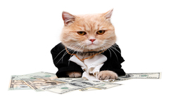 4種理財法，有一種會讓你「財富縮小」，卻幾乎人人都會犯...