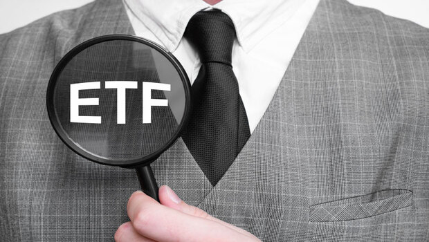 公開第3季「高含積」ETF報酬率，這5檔持有比例最高！股魚教你這樣做，輕鬆追隨大咖投資腳步