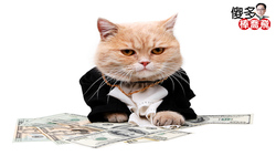 航運、鋼鐵超搶手，該All in跟上嗎？存股工程師棒喬飛提醒：沒注意這點，恐成最後一隻老鼠