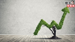 傻多投資學》波段好還是存股好？年領百萬股利工程師棒喬飛：首重安心，汰弱留強是關鍵