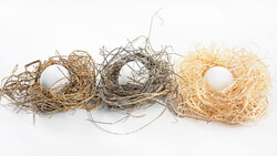 台積電、兆豐金、0050...股民最愛哪一檔？ETF、台股定期定額排行榜出爐！