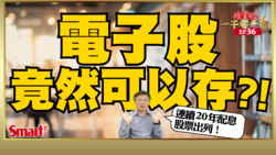 影片》9檔電子股連續20年都配息！其中這檔近10年報酬率最高達561%