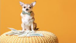 銅板價存好股！12檔高殖利率股票名單，連續配息10年，股息不中斷！