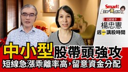 影片》海運、航運止跌反彈，後續還有多少空間？中小型股、大型股資金該怎麼分配？