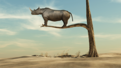 公司裡誰戴著「椰子殼耳罩」？為什麼老闆喜歡制定那些搞死員工的管理制度？