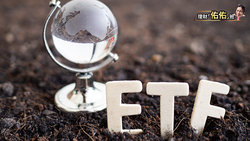 T50反預計下跌卻上漲，該續抱嗎？小資女佑佑建議快出脫，別傻傻等熊來