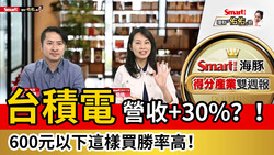 影片》台積電營收成長上看30%？600元以下這樣買勝率高！