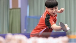 「每天都要超越自己，練球技更要練心」鄭怡靜：理財像桌球  細膩研究才能成功