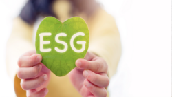 全球市場進入空頭，ESG投資退燒？3因素支撐，ESG投資已是不會回頭的趨勢