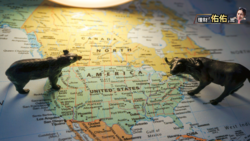 美股ETF今年較抗跌？關鍵是滙率！4檔在台灣掛牌的美股ETF怎麼選？-Smart智富ETF研究室