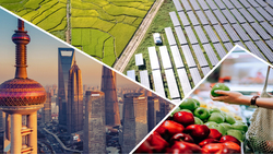   2023年可能步入溫和週期性衰退