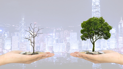 12萬元薪水交給媽媽，想結婚買房才發現工作10年零存款！理財媽咪勸：別等上班才學理財