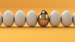 民眾憂缺蛋潮再起，蛋價起？農業部：會調節年底供需