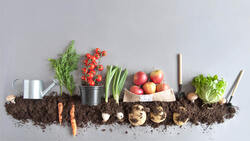 肥胖晉升為公共衛生危機，鎖定3大產業，把握「重量級」投資商機！