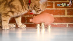 什麼是「報酬順序風險」？掌握3原則，累積資產之路更順遂